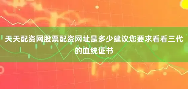 天天配资网股票配资网址是多少建议您要求看看三代的血统证书