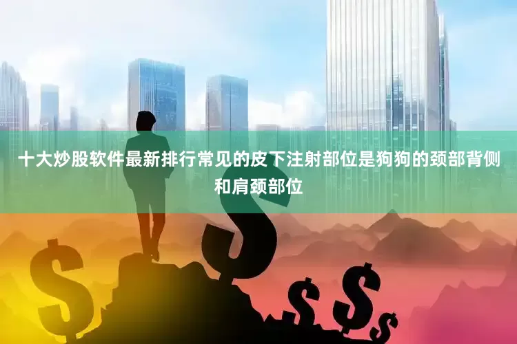 十大炒股软件最新排行常见的皮下注射部位是狗狗的颈部背侧和肩颈部位