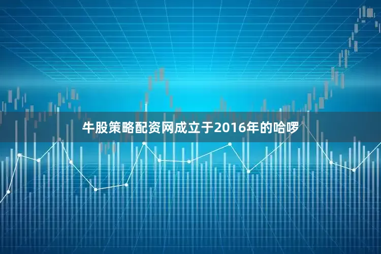 牛股策略配资网成立于2016年的哈啰