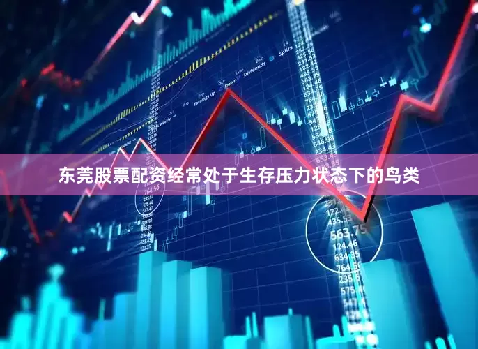 东莞股票配资经常处于生存压力状态下的鸟类